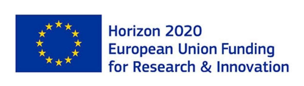 Horizon European Union logo