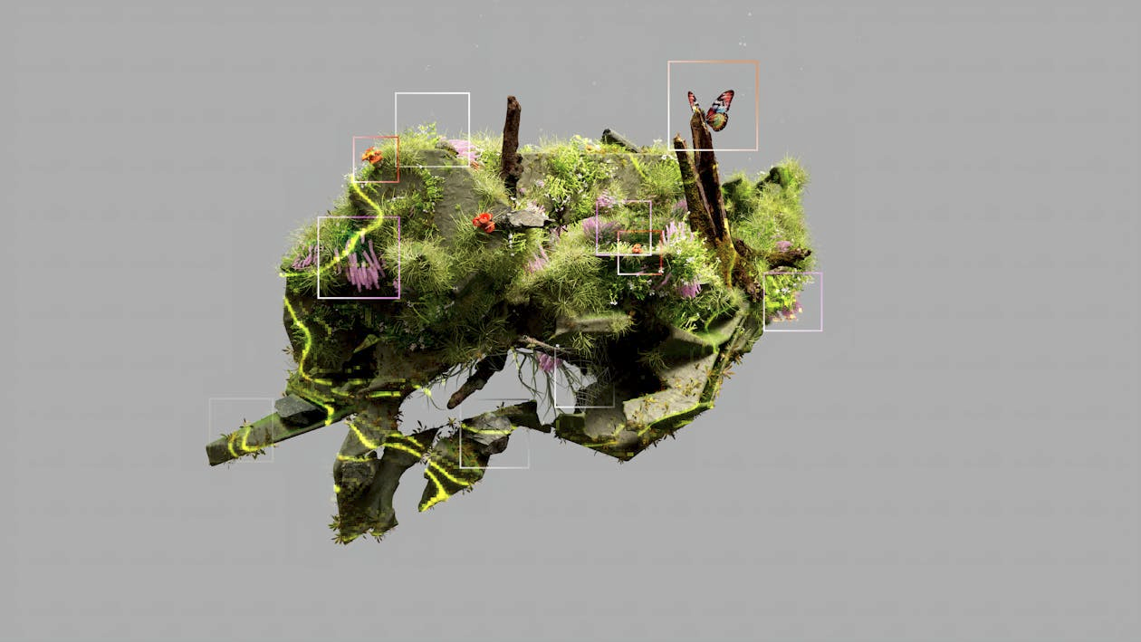 Case image 2